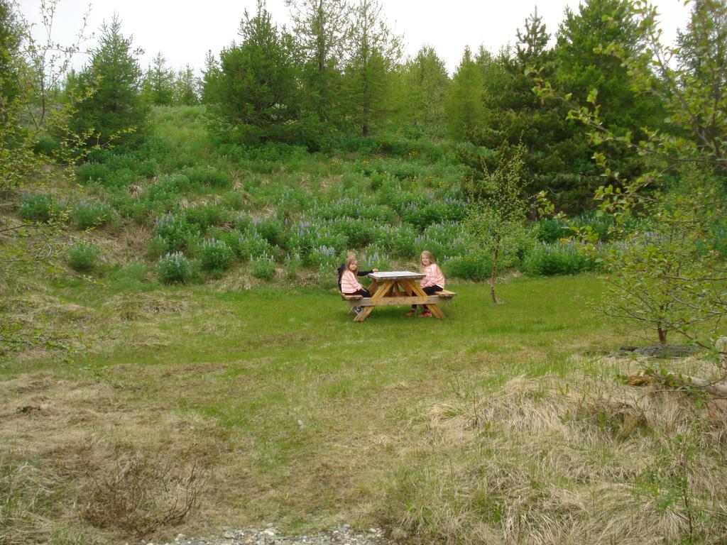 Vinland Camping Pods Egilsstadir Bilik gambar